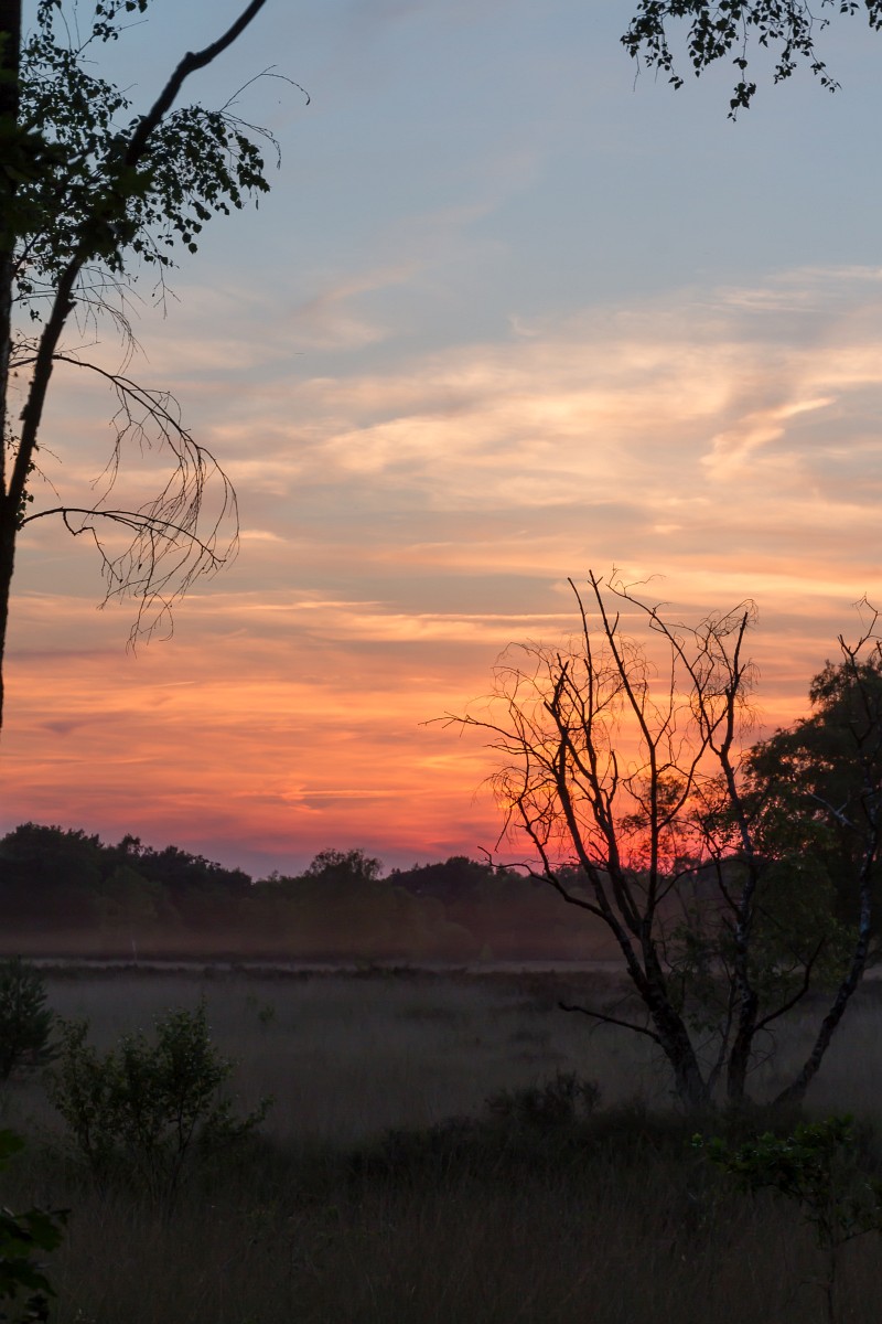 foto: [20170619PV5262]